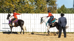 Reginals-10-1-22-332