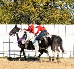 Reginals-10-1-22-333