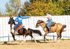 Reginals-10-1-22-340