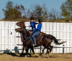 Reginals-10-1-22-349