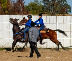 Reginals-10-1-22-350