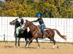 Reginals-10-1-22-358