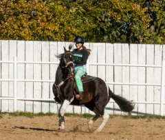 Reginals-10-1-22-359