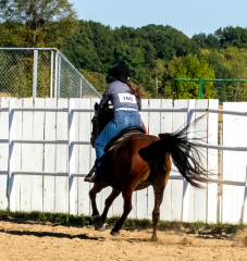 Reginals-10-1-22-366