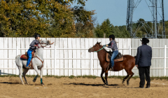 Reginals-10-1-22-368