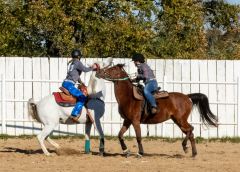 Reginals-10-1-22-369