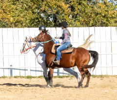 Reginals-10-1-22-370