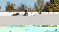 Reginals-10-1-22-379