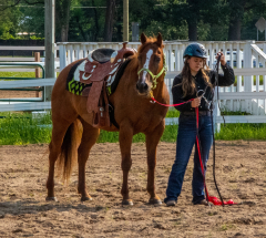 2021-8-31-9-1-CAYLIE-HORSE-SHOW-MILFORD-045