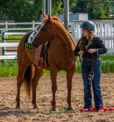2021-8-31-9-1-CAYLIE-HORSE-SHOW-MILFORD-050