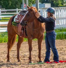 2021-8-31-9-1-CAYLIE-HORSE-SHOW-MILFORD-052