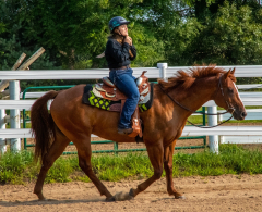 2021-8-31-9-1-CAYLIE-HORSE-SHOW-MILFORD-058