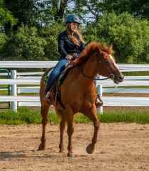 2021-8-31-9-1-CAYLIE-HORSE-SHOW-MILFORD-059