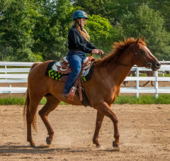 2021-8-31-9-1-CAYLIE-HORSE-SHOW-MILFORD-060