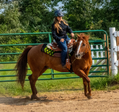 2021-8-31-9-1-CAYLIE-HORSE-SHOW-MILFORD-063