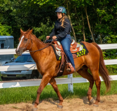 2021-8-31-9-1-CAYLIE-HORSE-SHOW-MILFORD-065