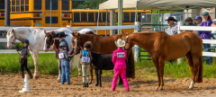 2021-8-31-9-1-CAYLIE-HORSE-SHOW-MILFORD-068