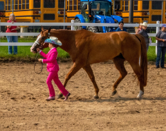 2021-8-31-9-1-CAYLIE-HORSE-SHOW-MILFORD-072