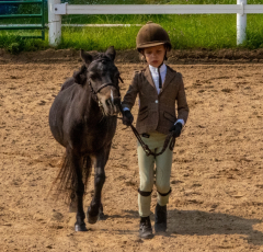 2021-8-31-9-1-CAYLIE-HORSE-SHOW-MILFORD-079