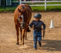 2021-8-31-9-1-CAYLIE-HORSE-SHOW-MILFORD-086