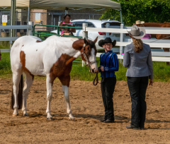2021-8-31-9-1-CAYLIE-HORSE-SHOW-MILFORD-087
