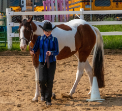 2021-8-31-9-1-CAYLIE-HORSE-SHOW-MILFORD-089