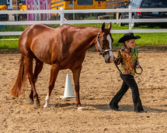 2021-8-31-9-1-CAYLIE-HORSE-SHOW-MILFORD-100