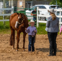 2021-8-31-9-1-CAYLIE-HORSE-SHOW-MILFORD-102