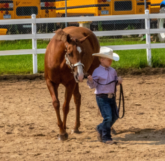 2021-8-31-9-1-CAYLIE-HORSE-SHOW-MILFORD-105