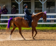 2021-8-31-9-1-CAYLIE-HORSE-SHOW-MILFORD-110
