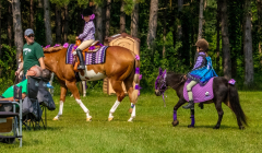 2021-8-31-9-1-CAYLIE-HORSE-SHOW-MILFORD-116