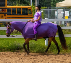 2021-8-31-9-1-CAYLIE-HORSE-SHOW-MILFORD-120