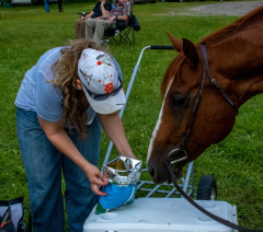 2021-8-31-9-1-CAYLIE-HORSE-SHOW-MILFORD-145