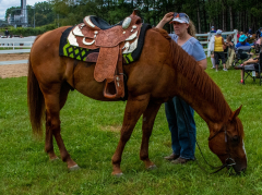 2021-8-31-9-1-CAYLIE-HORSE-SHOW-MILFORD-148