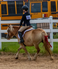 2021-8-31-9-1-CAYLIE-HORSE-SHOW-MILFORD-149