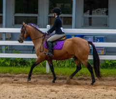 2021-8-31-9-1-CAYLIE-HORSE-SHOW-MILFORD-150