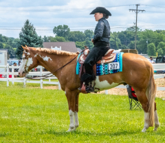 2021-8-31-9-1-CAYLIE-HORSE-SHOW-MILFORD-155