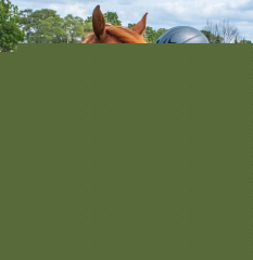 2021-8-31-9-1-CAYLIE-HORSE-SHOW-MILFORD-157