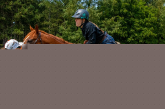 2021-8-31-9-1-CAYLIE-HORSE-SHOW-MILFORD-168