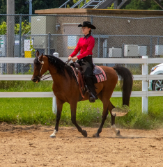 2021-8-31-9-1-CAYLIE-HORSE-SHOW-MILFORD-172