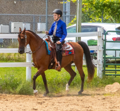 2021-8-31-9-1-CAYLIE-HORSE-SHOW-MILFORD-173