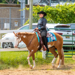 2021-8-31-9-1-CAYLIE-HORSE-SHOW-MILFORD-174