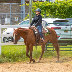 2021-8-31-9-1-CAYLIE-HORSE-SHOW-MILFORD-176