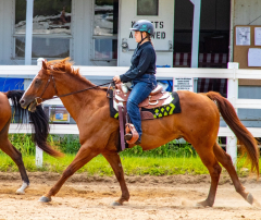 2021-8-31-9-1-CAYLIE-HORSE-SHOW-MILFORD-181