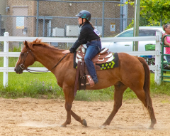 2021-8-31-9-1-CAYLIE-HORSE-SHOW-MILFORD-185