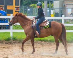 2021-8-31-9-1-CAYLIE-HORSE-SHOW-MILFORD-186