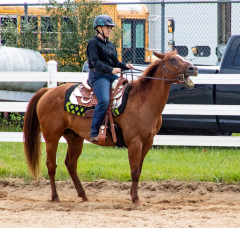 2021-8-31-9-1-CAYLIE-HORSE-SHOW-MILFORD-191