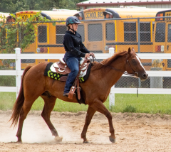 2021-8-31-9-1-CAYLIE-HORSE-SHOW-MILFORD-203