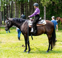 2021-8-31-9-1-CAYLIE-HORSE-SHOW-MILFORD-211