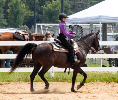 2021-8-31-9-1-CAYLIE-HORSE-SHOW-MILFORD-217